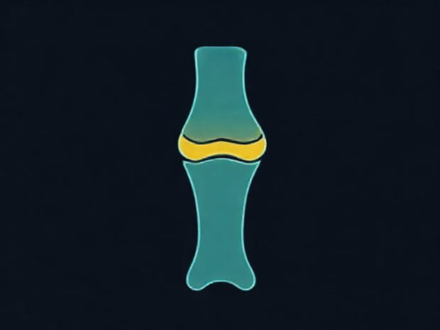 Explain The Structure And Function Of Menisci