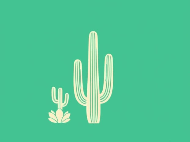Fun Facts About Saguaro Cactus