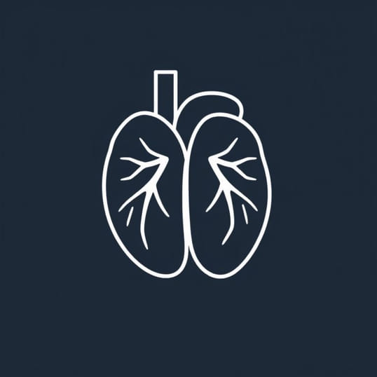 Function Of Coronary Sinus