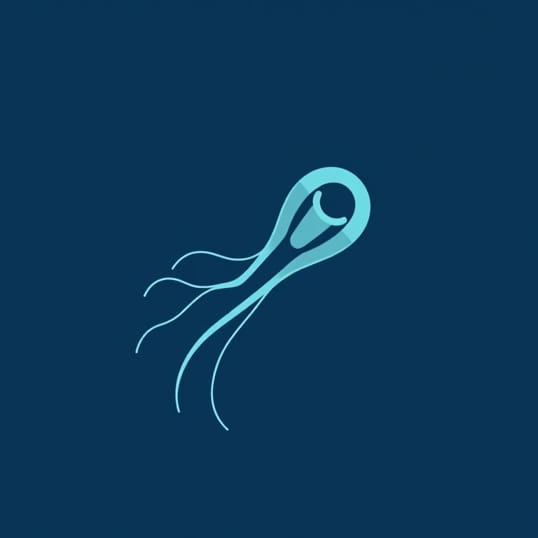 Function Of Flagella In Bacteria