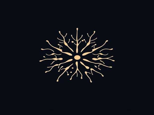 How Do Echinoderm Gametes Come Together