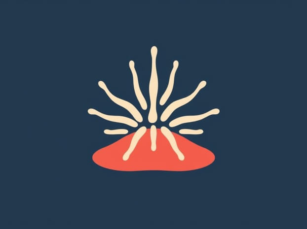 How Does An Echinoderm Move?