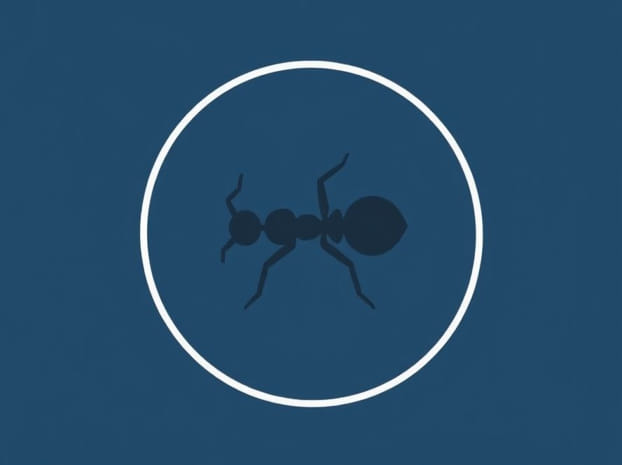 How Does Borax Kill Ants?