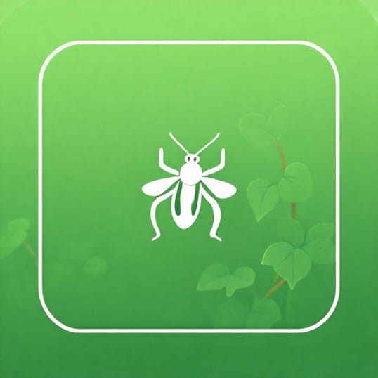 How To Get Rid Of Vine Weevil