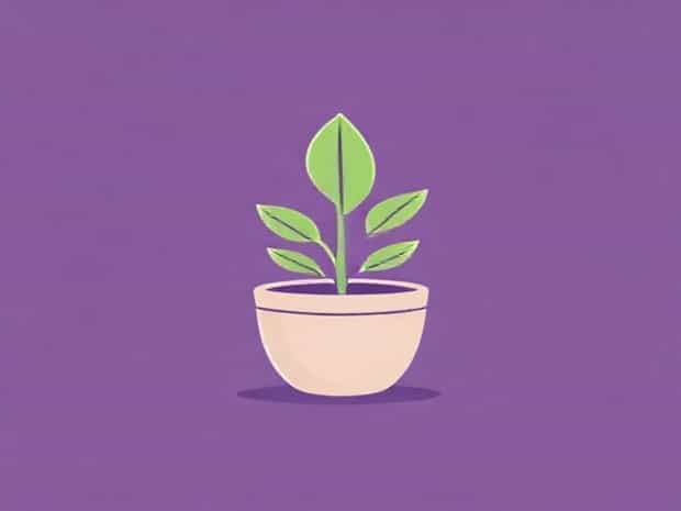 How To Pot A Succulent