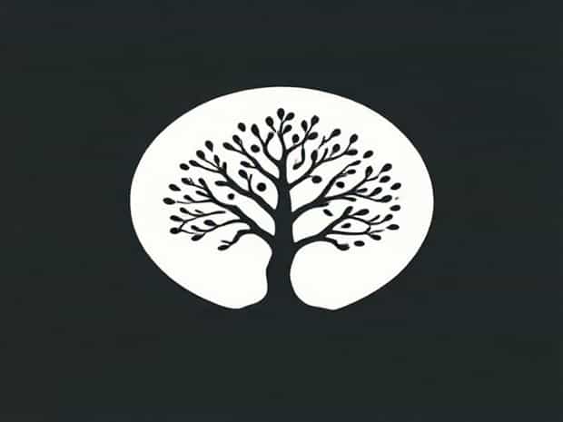How To Propagate Chaste Tree