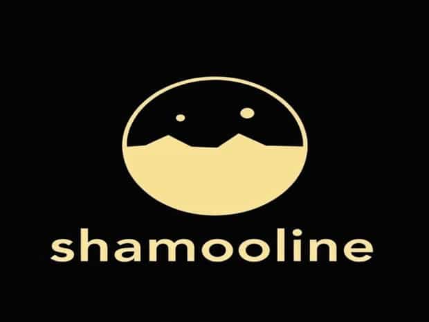 How To Use Shambolic In A Sentence