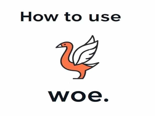 How To Use Woe In A Sentence
