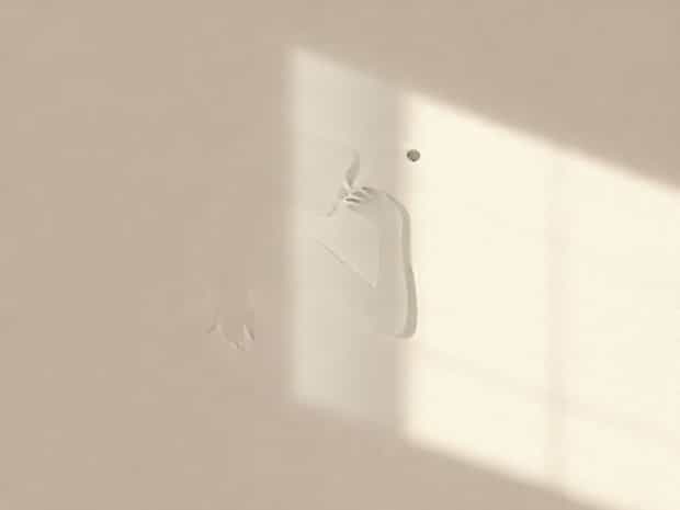 Intention Of Gratifying Unnatural Lust