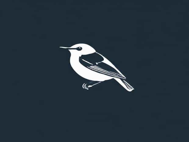 Is An Ovenbird A Warbler