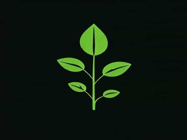 Is Chlorophyll A Pigment