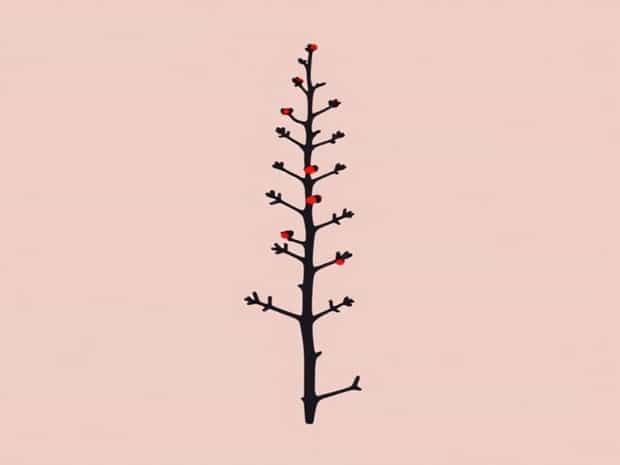 Is Staghorn Sumac Poisonous