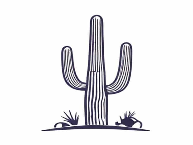 Is The Saguaro Cactus Endangered