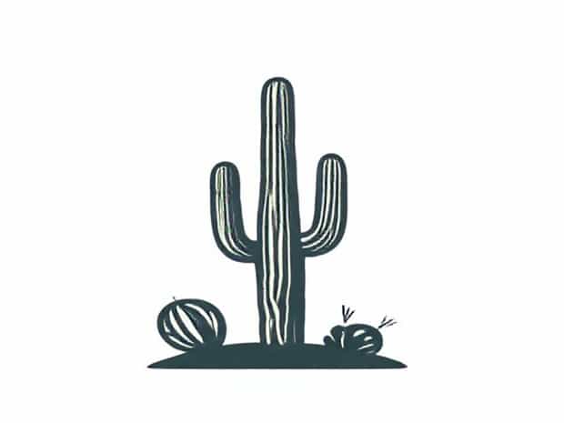 Is The Saguaro Cactus Protected