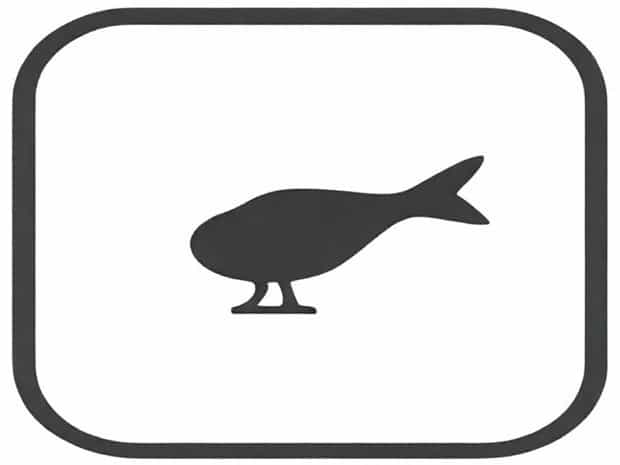 It'S A Decoy Meaning