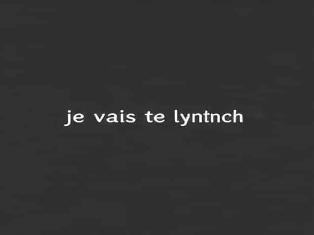 Je Vais Te Lyncher