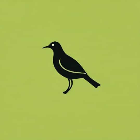 L Ile Au Aigrette