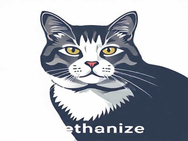 Liver Cancer In Cats When To Euthanize