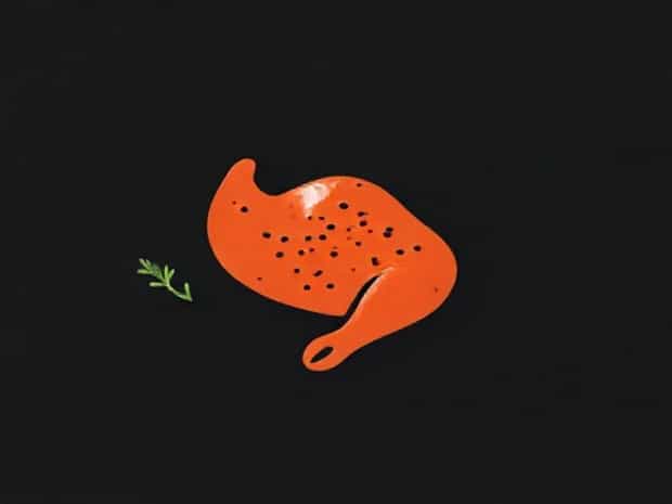 Longest You Can Marinate Chicken