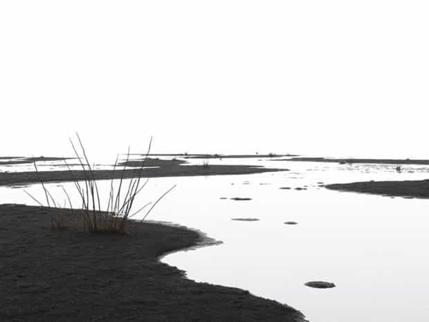 Low Wetland With Peaty Soil