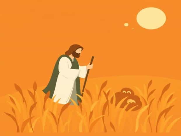 Luke 10 The Harvest Is Plentiful