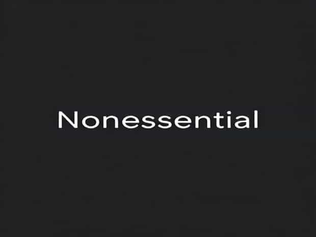 Make A Sentence With The Word Nonessential
