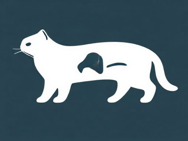 Cat Liver Cancer When To Euthanize