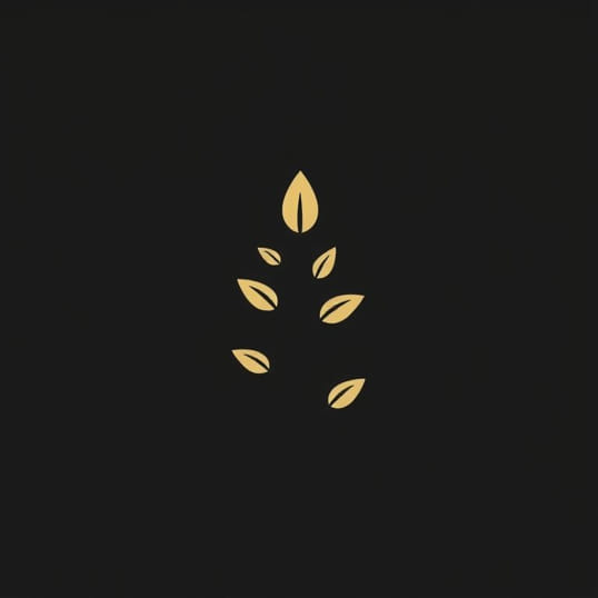 Dark Reaction Of Photosynthesis