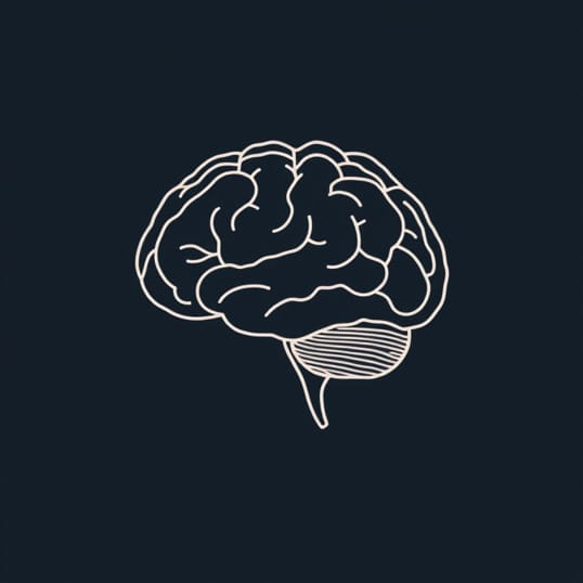 Definition Of Occipital Lobe