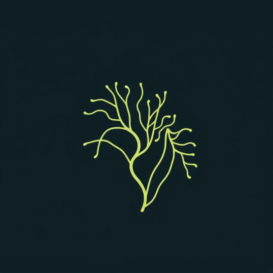 Diagram Of Filamentous Algae