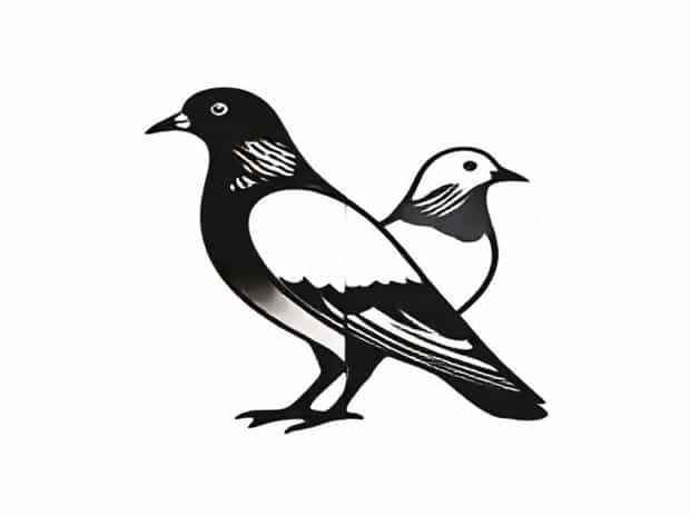 Difference Between Squab And Pigeon