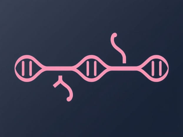 Does Adenine Pair With Guanine