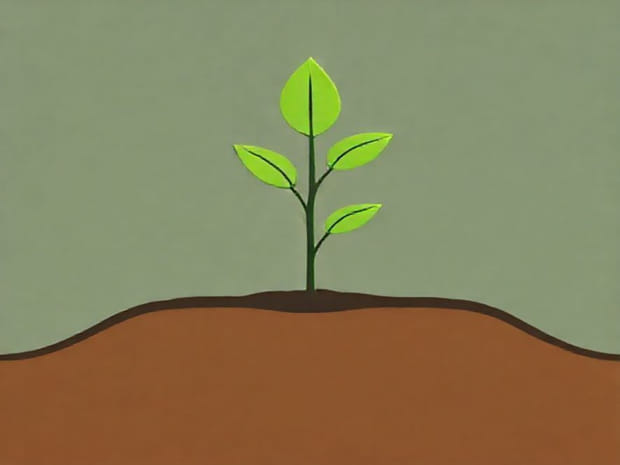 Does Soil Sequester Carbon