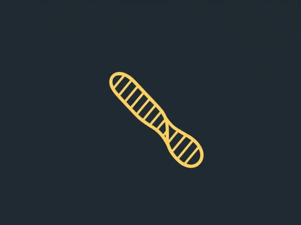 During Elongation How Is The Rna Synthesized