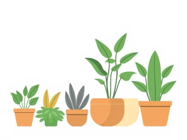 Easy To Maintain Outdoor Plants