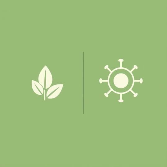 Ecocentric Vs Anthropocentric Vs Technocentric