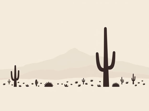 Elevation Of Saguaro National Park