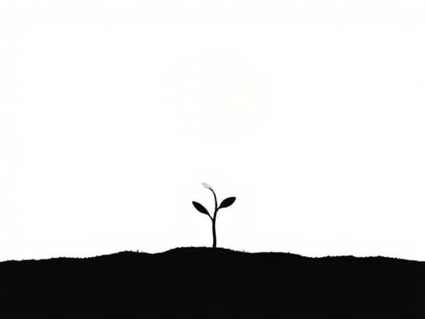 End Product Of Photosynthesis