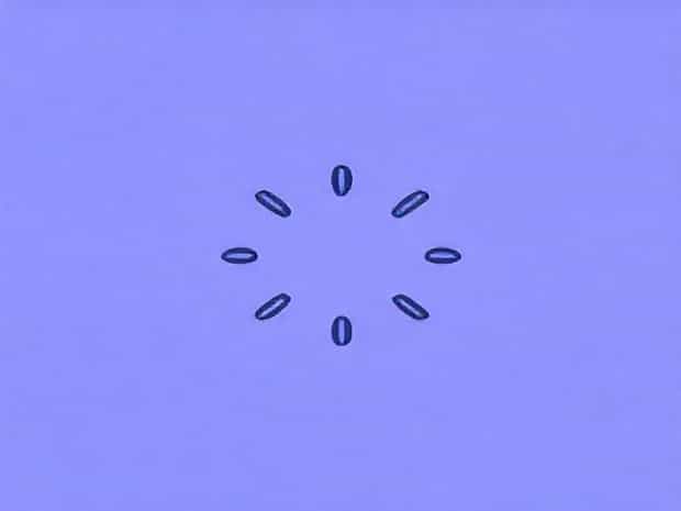 Fine Grained Structured Sparsity