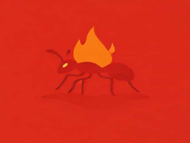 Fire Ant Eradication Program