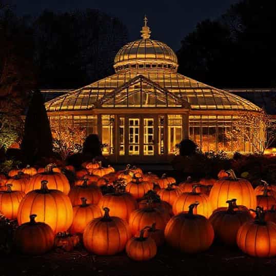 Franklin Park Conservatory Pumpkins Aglow