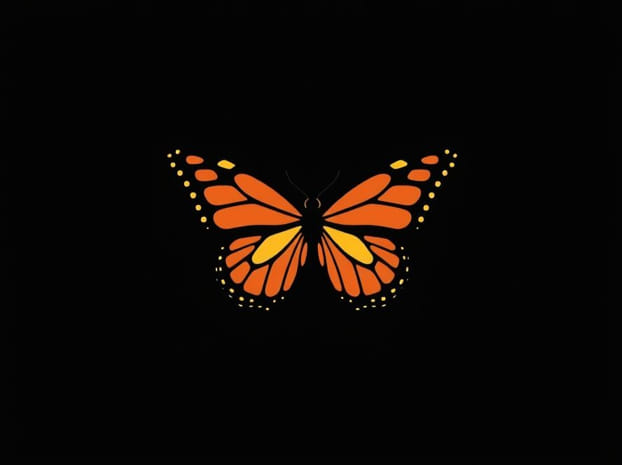 From Chrysalis To Butterfly