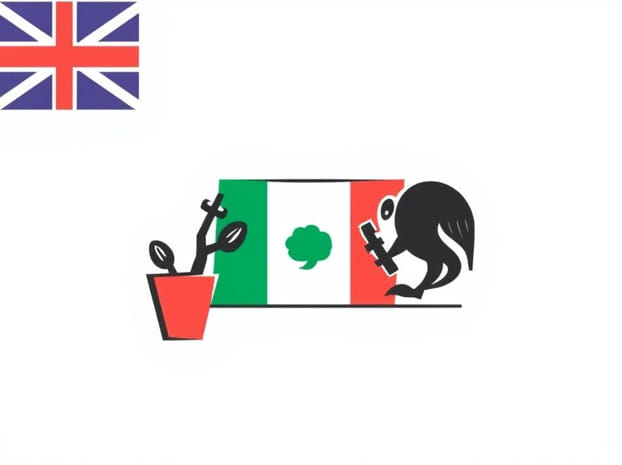 From English To Mexican