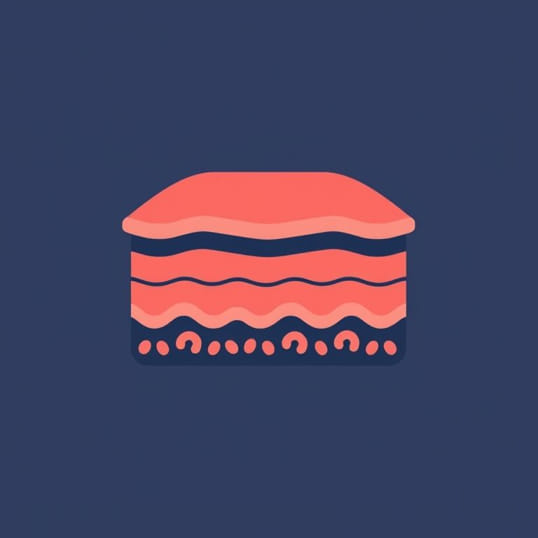 Function Of Stratified Squamous Epithelium