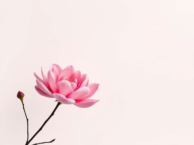 Giorgio Armani Prive Pivoine Suzhou