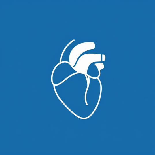 Give The Function Of Bicuspid Valve