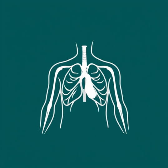 Google What Is Arteriosclerosis