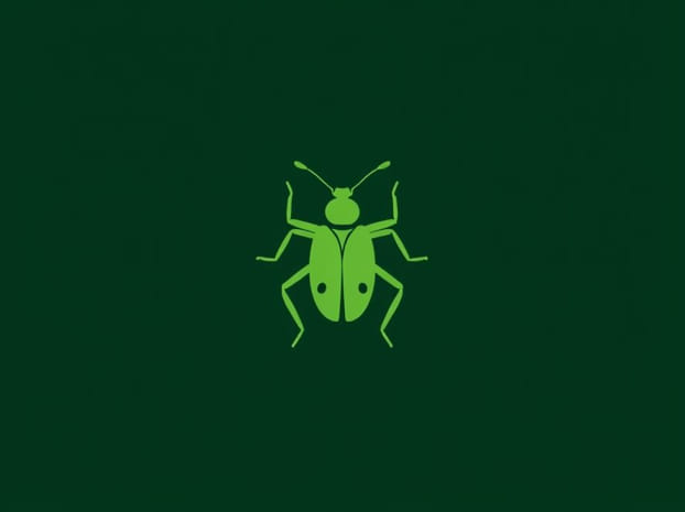 Green Immigrant Leaf Weevil
