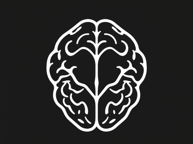 How Does The Frontal Lobe Develop