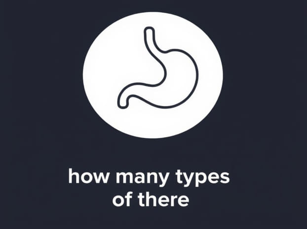 How Many Types Of Digestions Are There